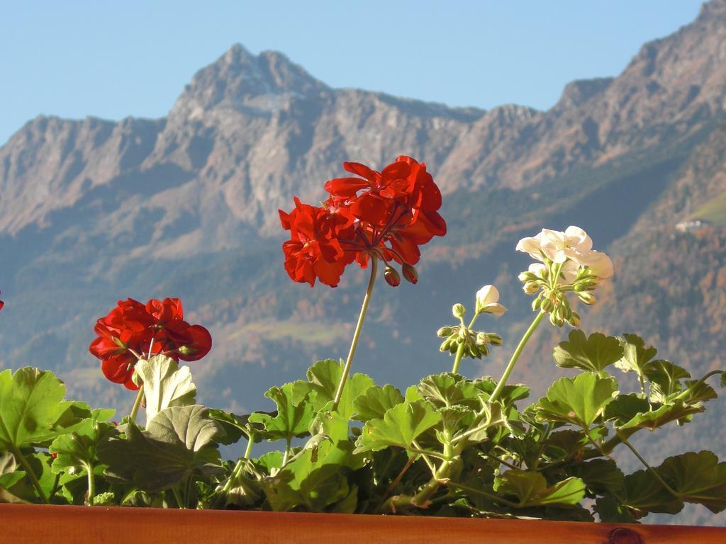 Frühstückspension Garni Unterhaslerhof Meran